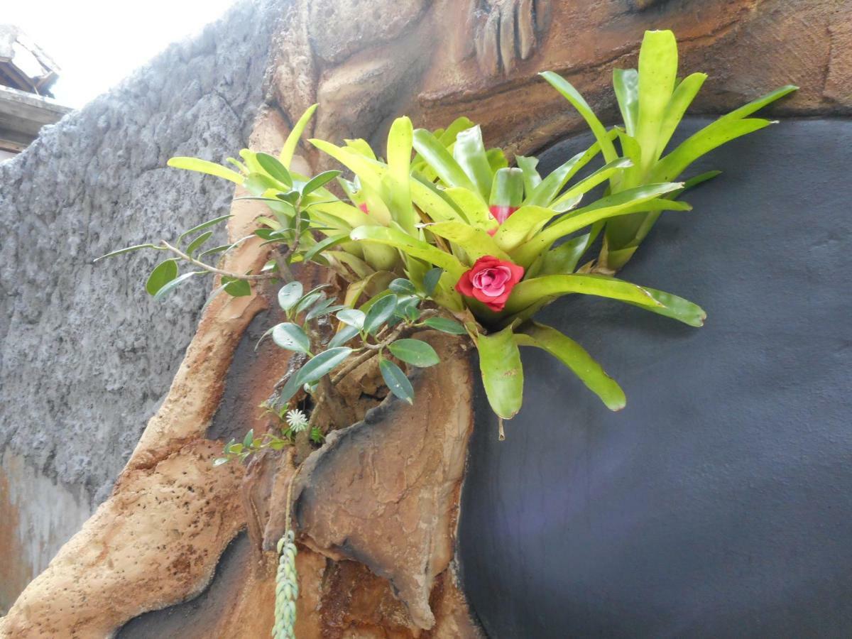 Milla Homestay ซิเดอมัน ภายนอก รูปภาพ