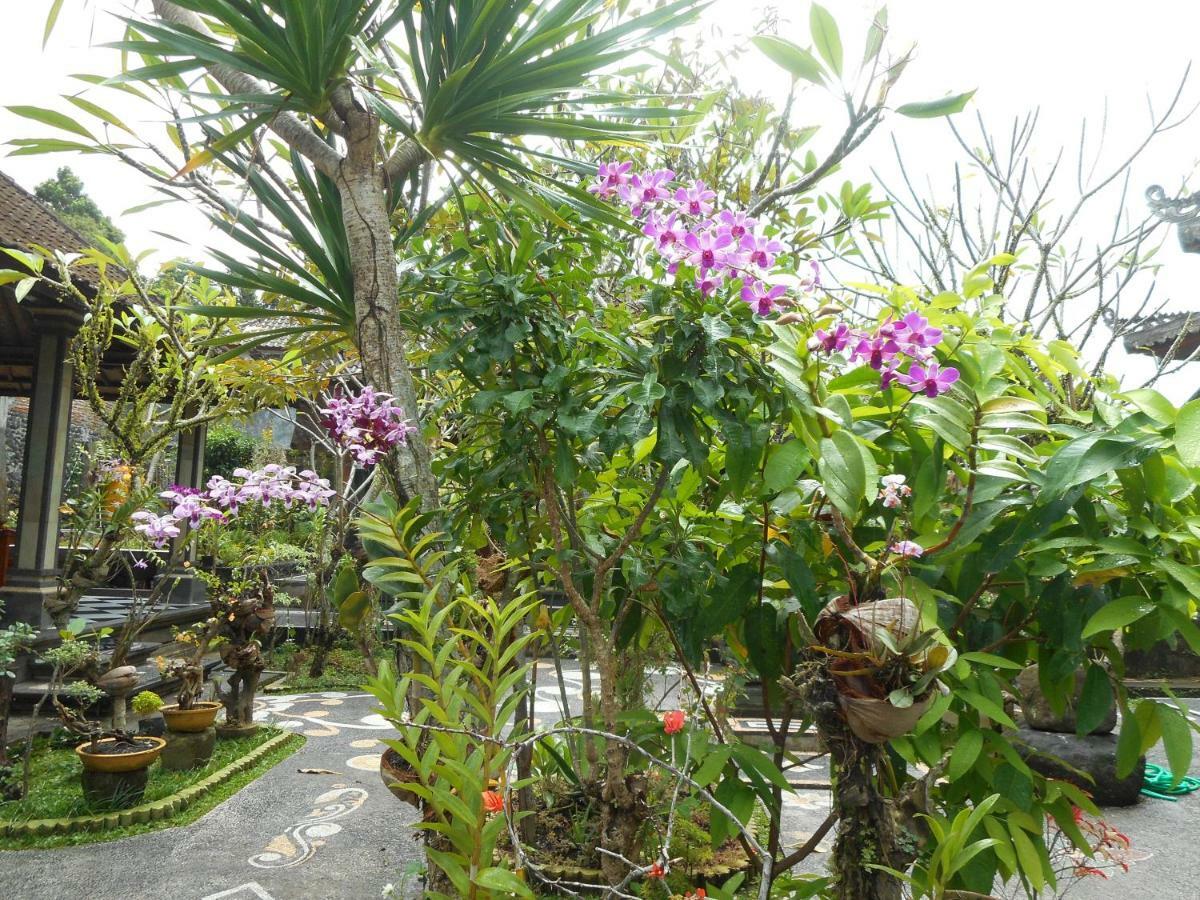 Milla Homestay ซิเดอมัน ภายนอก รูปภาพ