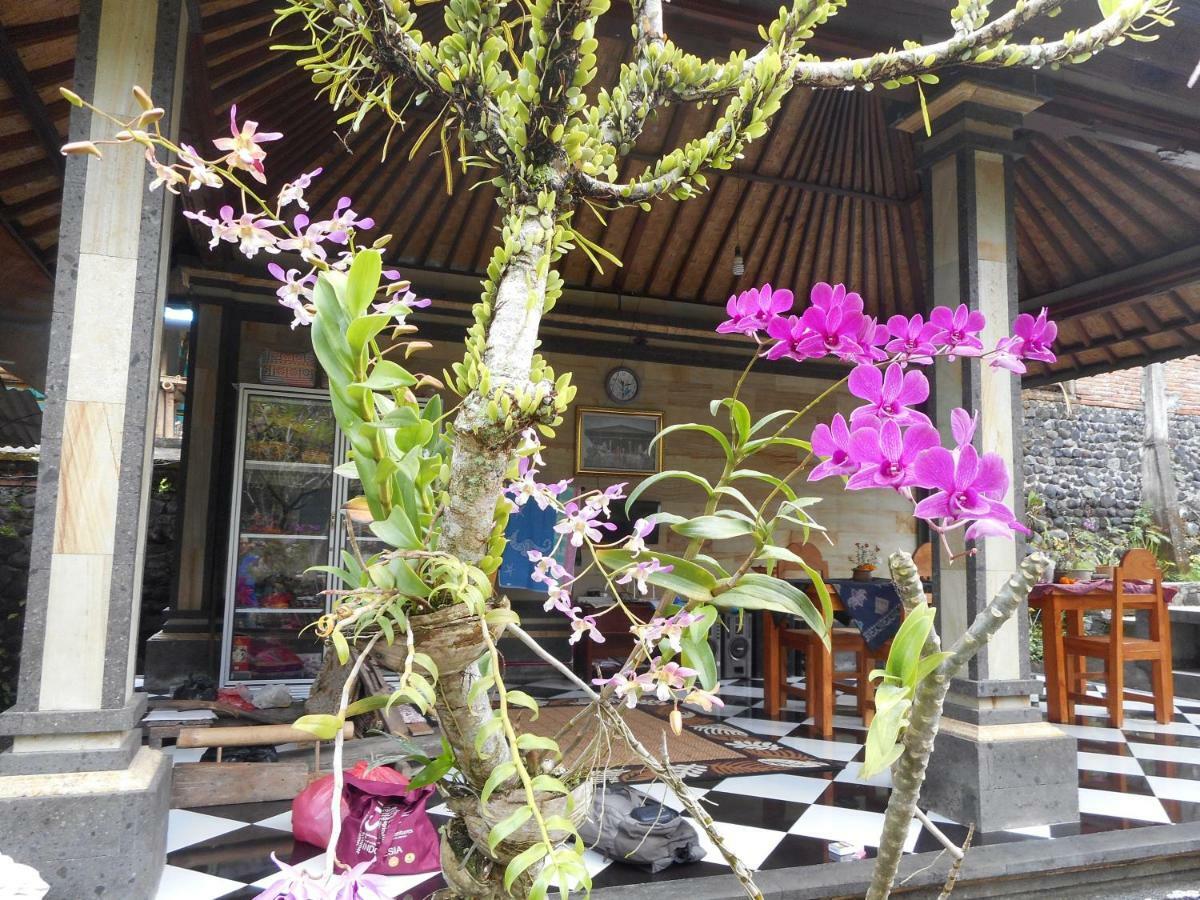Milla Homestay ซิเดอมัน ภายนอก รูปภาพ