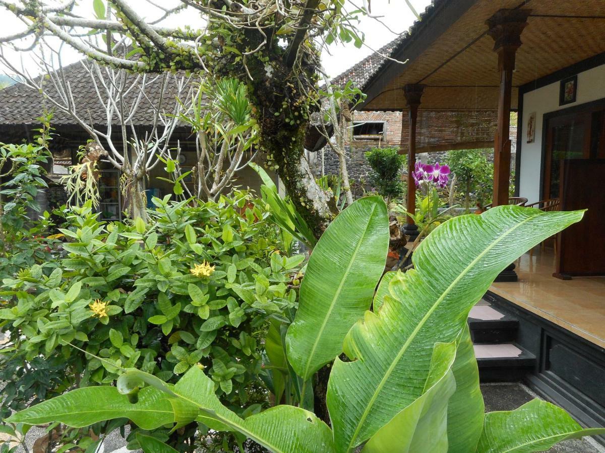Milla Homestay ซิเดอมัน ภายนอก รูปภาพ