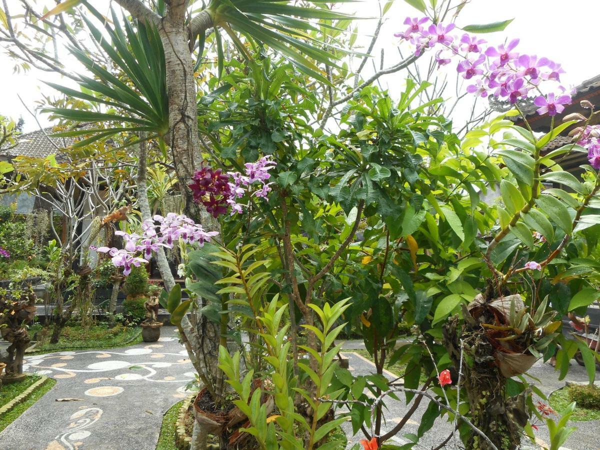 Milla Homestay ซิเดอมัน ภายนอก รูปภาพ