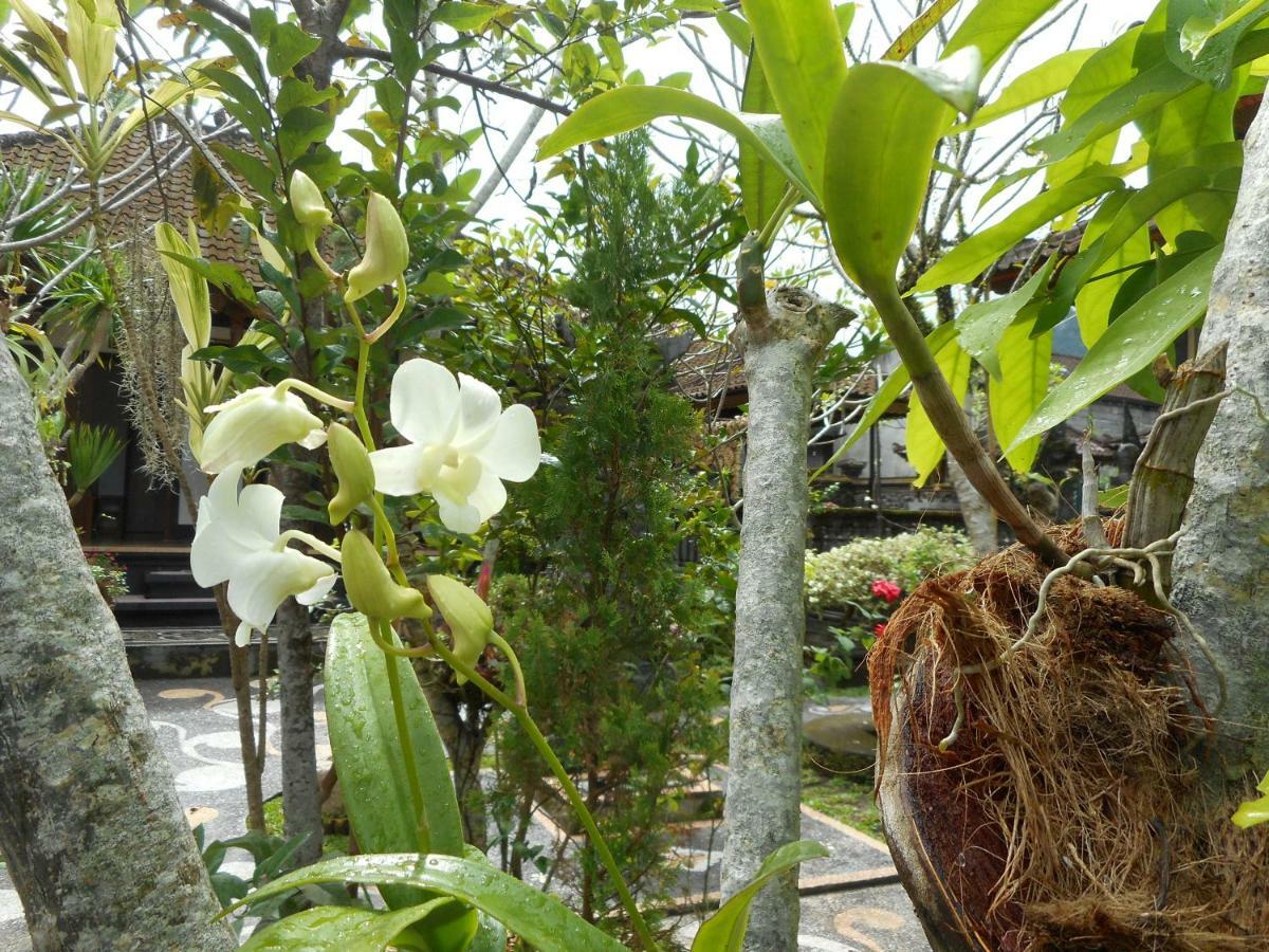 Milla Homestay ซิเดอมัน ภายนอก รูปภาพ