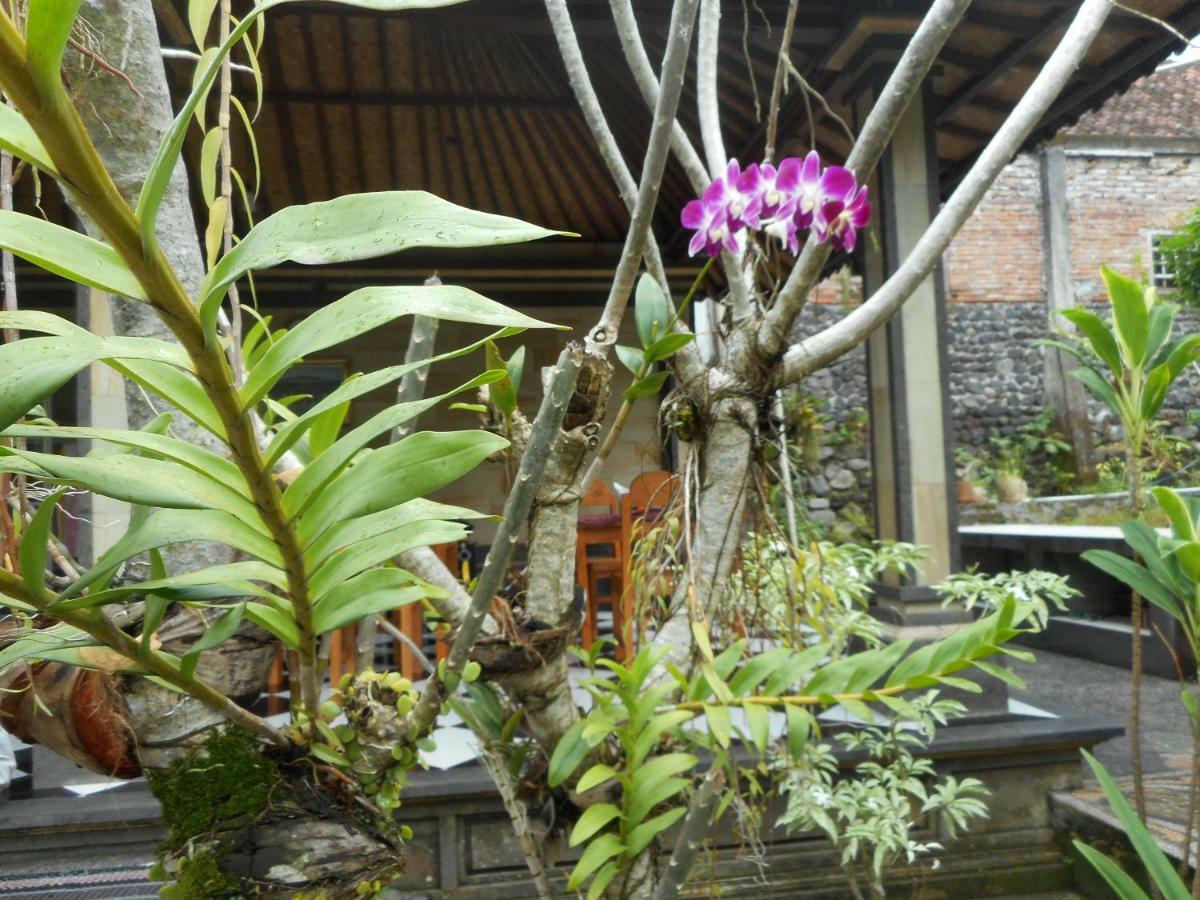 Milla Homestay ซิเดอมัน ภายนอก รูปภาพ